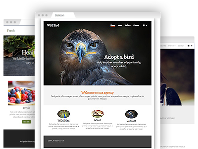 An assortment of simple–to–customize website themes